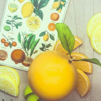 Summer Citrus